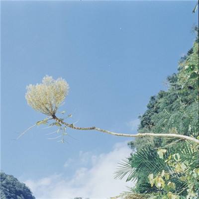 枕上书缘手游下载