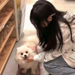 九游果园守卫战手游下载